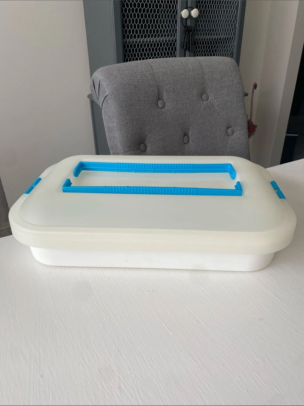 Tupperware Storage Container Cookies, Cakes, Cupcakes, Pies, Anything that Fits